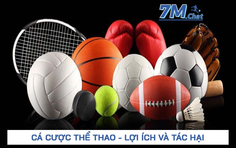 Cá cược thể thao - Lợi ích đem lại và Tác hại khi chơi quá đà